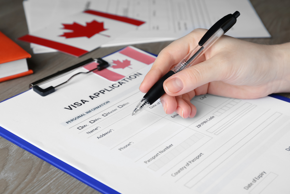 Comprehensive support at every stage of the visa process: from selection to approval - consultantlm.uk