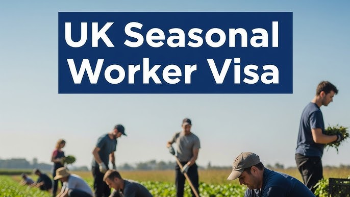 Які права має Seasonal Worker у Британії - consultantlm.uk