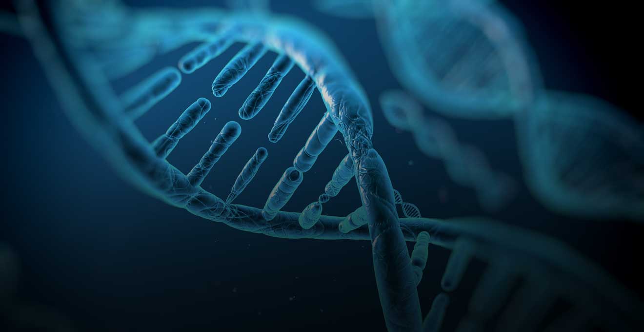 How to prove family ties for a visa: documents, DNA tests - consultantlm.uk